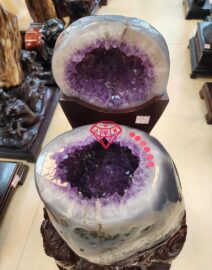 Bat Tu Bao Ma Nao 1