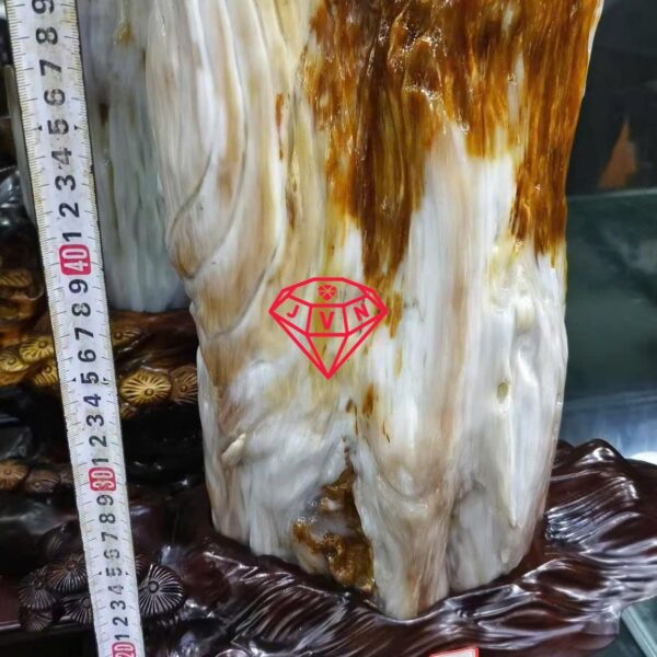Gỗ Hoá Thạch 1 38
