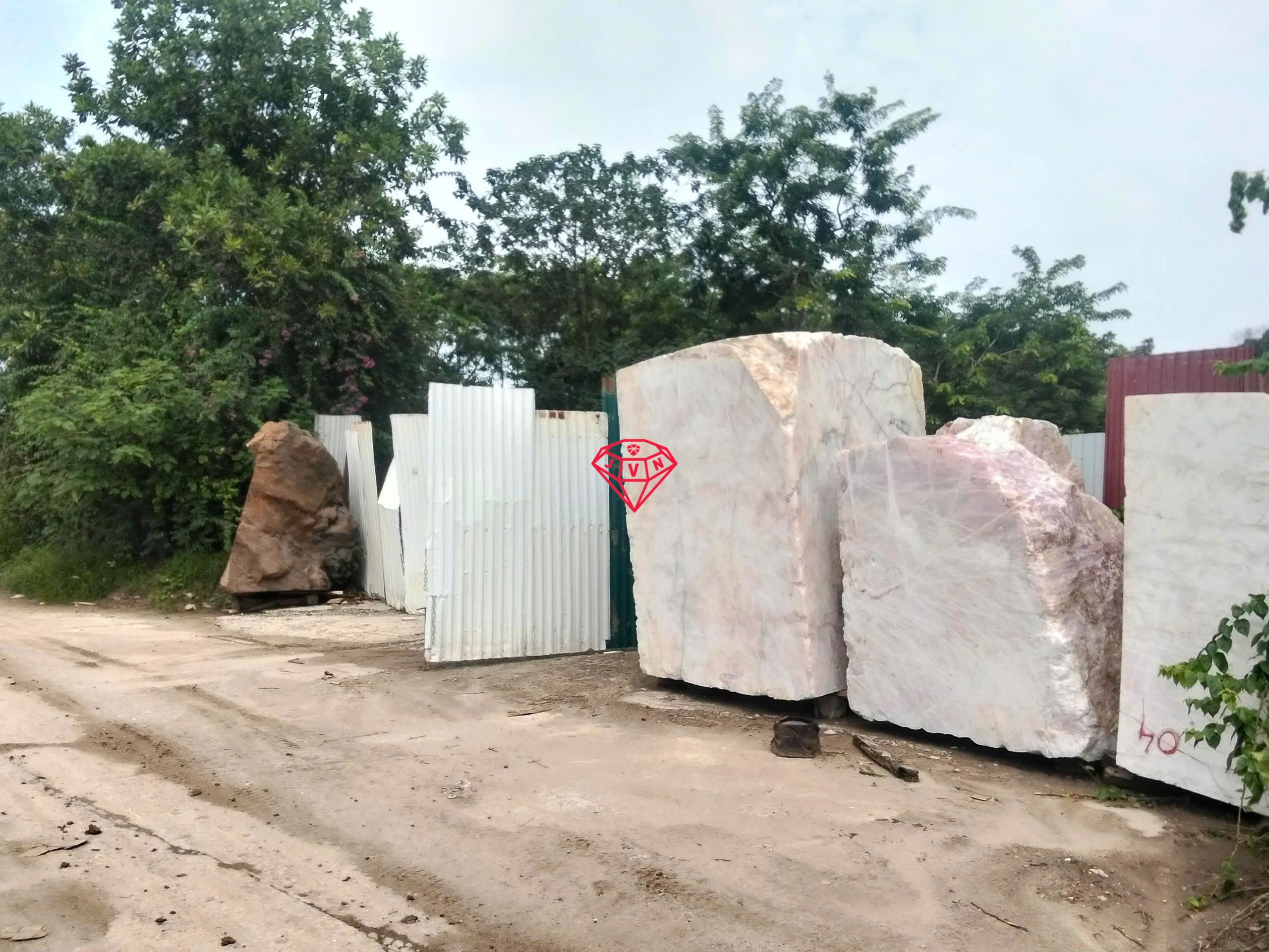 Xuong Da Quy VN Moi 3