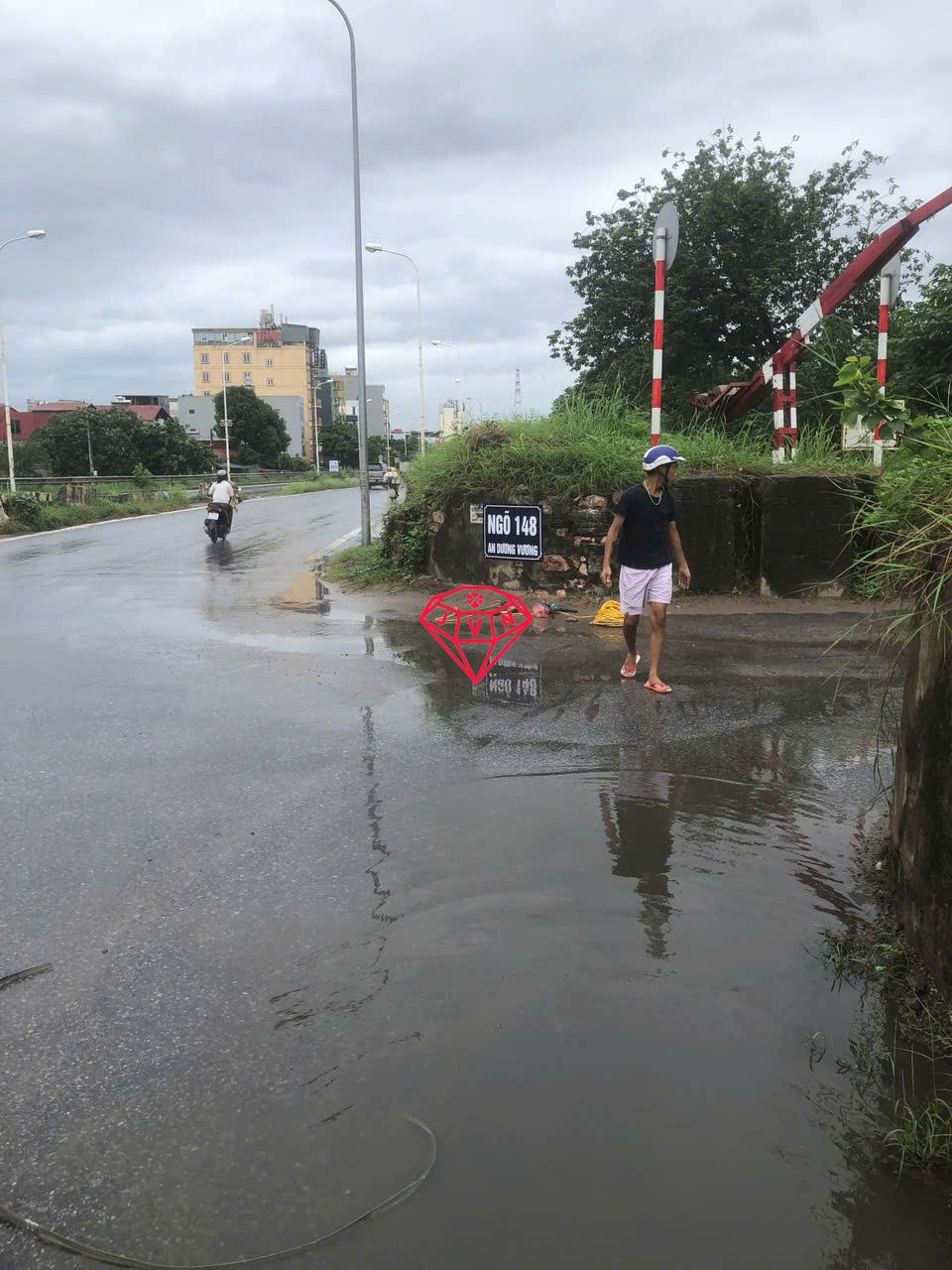 Xuong Da Quy VN Moi 6