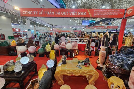 Banner Trien Lam Da Quy Tai Vec 1