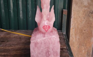 Da Quy Vn T11 17 Da Quy Vn T11 17