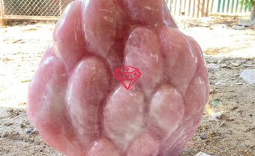 Da Quy Vn T11 20 Da Quy Vn T11 20