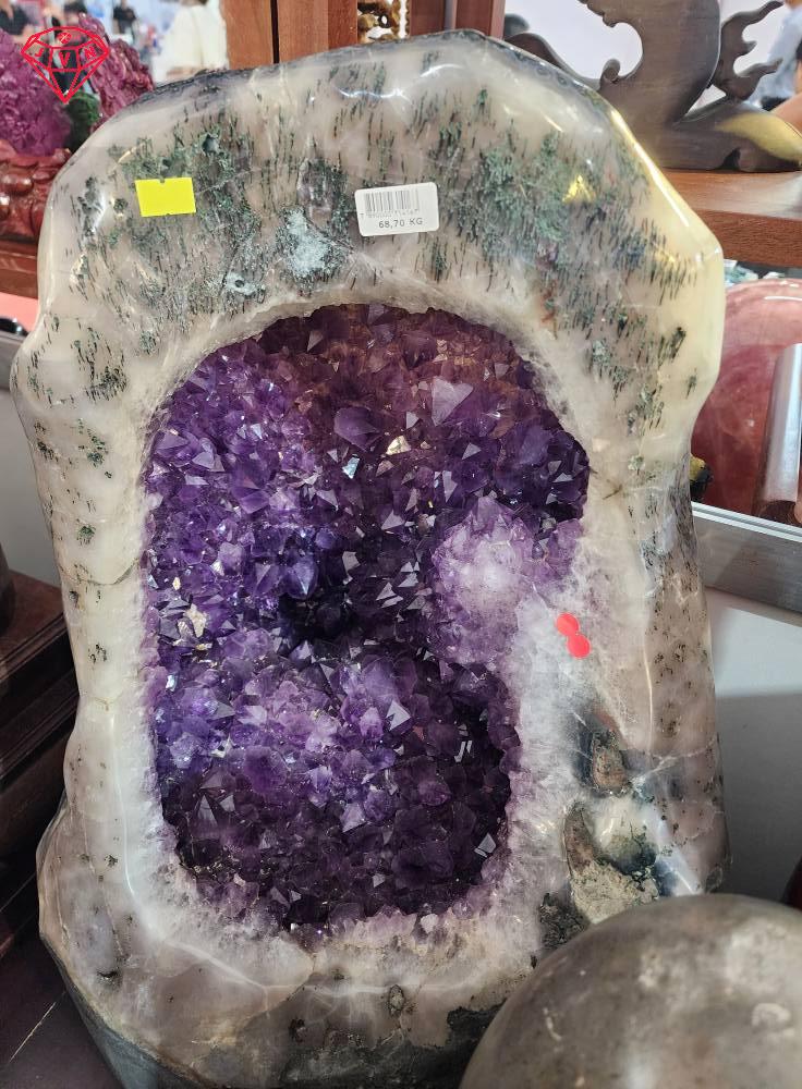 Hoi Cho Vec Daquyvn 2