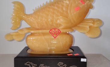 Vat Pham Phong Thuy 38