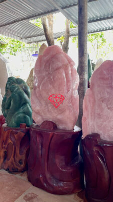 Da Canh TA Hong 120K 5